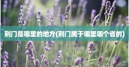 荆门是哪里的地方(荆门属于哪里哪个省的)