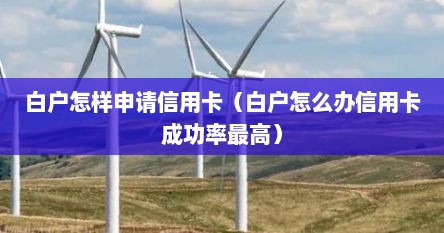 白户怎样申请信用卡（白户怎么办信用卡成功率最高）
