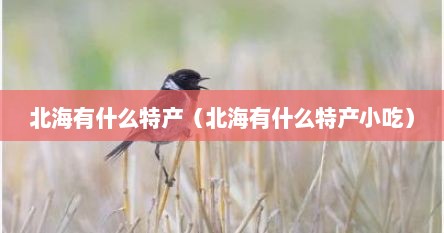 北海有什么特产（北海有什么特产小吃）