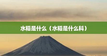 水稻是什么（水稻是什么科）
