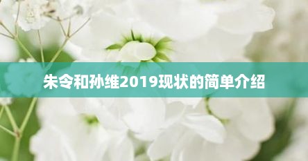 朱令和孙维2019现状的简单介绍