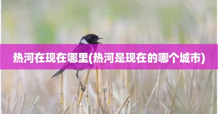 热河在现在哪里(热河是现在的哪个城市)