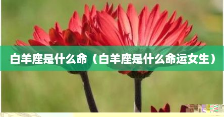 白羊座是什么命（白羊座是什么命运女生）
