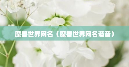 魔兽世界网名（魔兽世界网名谐音）