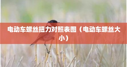 电动车螺丝扭力对照表图（电动车螺丝大小）