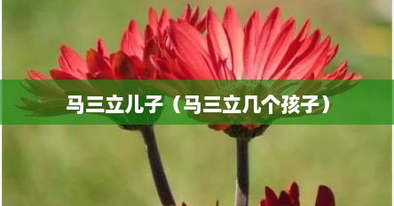 马三立儿子（马三立几个孩子）