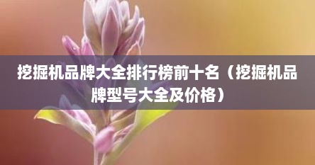 挖掘机品牌大全排行榜前十名（挖掘机品牌型号大全及价格）