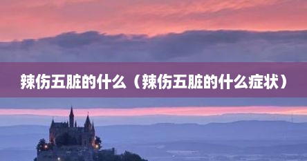 辣伤五脏的什么（辣伤五脏的什么症状）