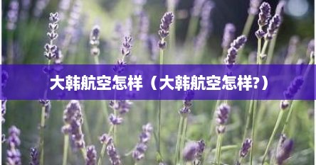 大韩航空怎样（大韩航空怎样?）