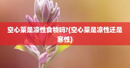空心菜是凉性食物吗?(空心菜是凉性还是寒性)