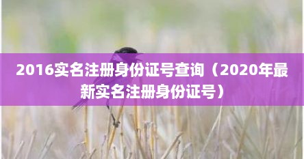 2016实名注册身份证号查询（2020年最新实名注册身份证号）
