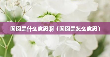 囡囡是什么意思啊（囡囡是怎么意思）