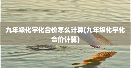 九年级化学化合价怎么计算(九年级化学化合价计算)
