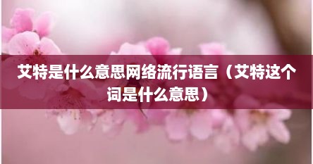 艾特是什么意思网络流行语言（艾特这个词是什么意思）