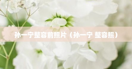 孙一宁整容前照片（孙一宁 整容照）
