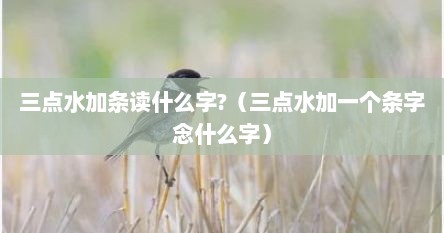 三点水加条读什么字?（三点水加一个条字念什么字）