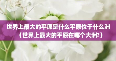 世界上最大的平原是什么平原位于什么洲(世界上最大的平原在哪个大洲?)