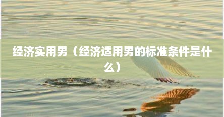 经济实用男（经济适用男的标准条件是什么）