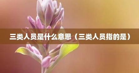 三类人员是什么意思（三类人员指的是）
