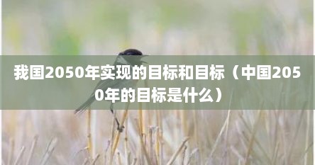 我国2050年实现的目标和目标（中国2050年的目标是什么）