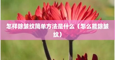 怎样除皱纹简单方法是什么（怎么能除皱纹）