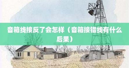 音箱线接反了会怎样（音箱接错线有什么后果）