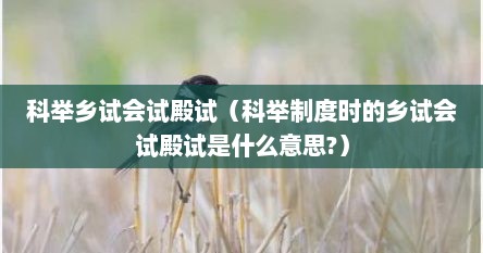科举考试中的乡试会试殿试（古代科举乡试、会试制度）