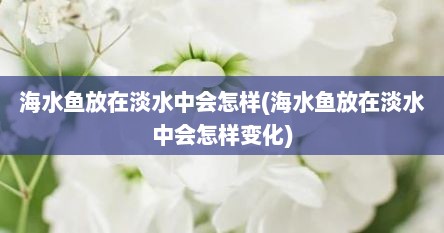海水鱼放在淡水中会怎样(海水鱼放在淡水中会怎样变化)