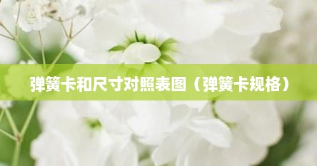 弹簧卡和尺寸对照表图（弹簧卡规格）