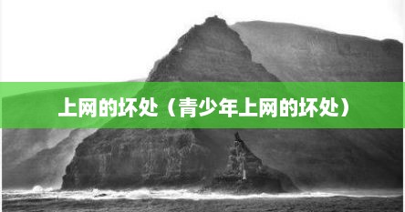 上网的坏处（青少年上网的坏处）