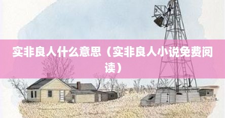 实非良人什么意思（实非良人小说免费阅读）