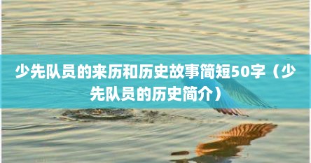 少先队员的来历和历史故事简短50字（少先队员的历史简介）