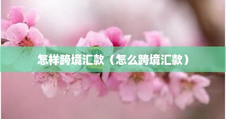 怎样跨境汇款（怎么跨境汇款）