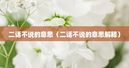 二话不说的意思（二话不说的意思解释）