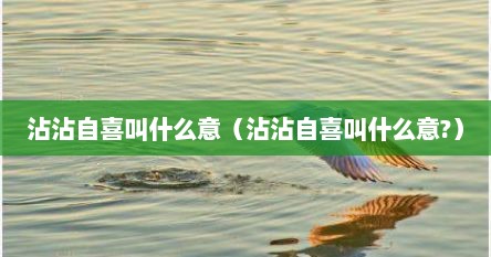 沾沾自喜叫什么意（沾沾自喜叫什么意?）