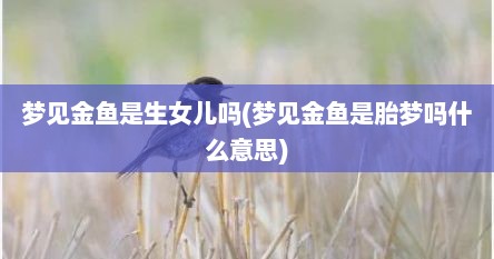 梦见金鱼是生女儿吗(梦见金鱼是胎梦吗什么意思)