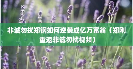 非诚勿扰郑钢如何逆袭成亿万富翁（郑刚 重返非诚勿扰视频）