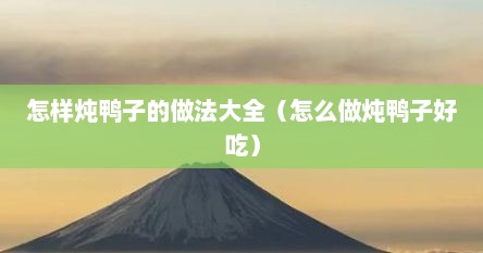 怎样炖鸭子的做法大全（怎么做炖鸭子好吃）
