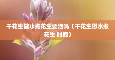 干花生做水煮花生要泡吗（干花生做水煮花生 时间）