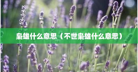 枭雄什么意思（不世枭雄什么意思）