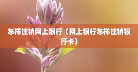 怎样注销网上银行（网上银行怎样注销银行卡）