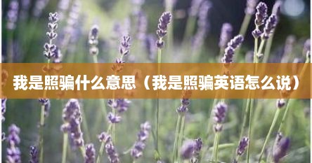 我是照骗什么意思（我是照骗英语怎么说）