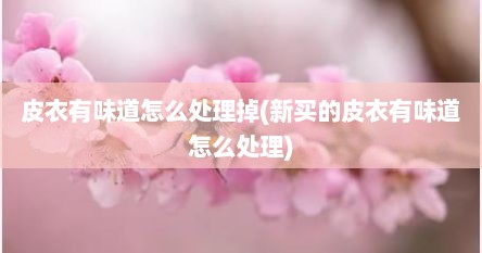 皮衣有味道怎么处理掉(新买的皮衣有味道怎么处理)
