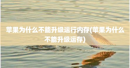 苹果为什么不能升级运行内存(苹果为什么不能升级运存)
