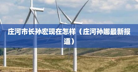 庄河市长孙宏现在怎样（庄河孙娜最新报道）