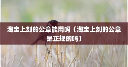 淘宝上刻的公章能用吗（淘宝上刻的公章是正规的吗）