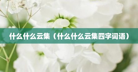 什么什么云集（什么什么云集四字词语）