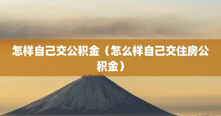 怎样自己交公积金（怎么样自己交住房公积金）