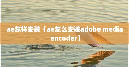 ae怎样安装（ae怎么安装adobe media encoder）