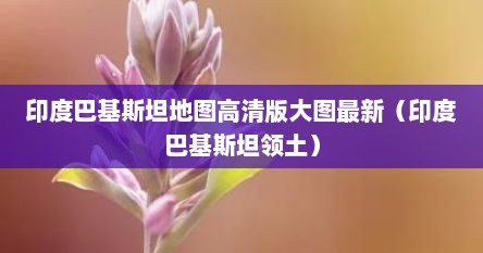 印度巴基斯坦地图高清版大图最新（印度巴基斯坦领土）